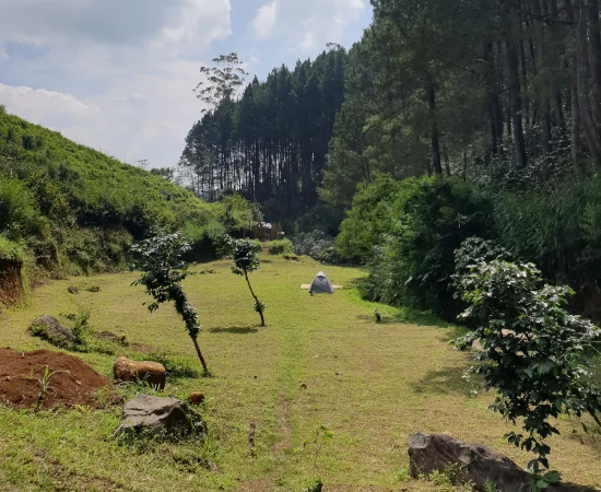 Area Camping Kancah Nangkub Pangalengan